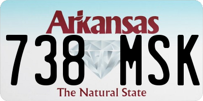 AR license plate 738MSK