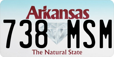 AR license plate 738MSM