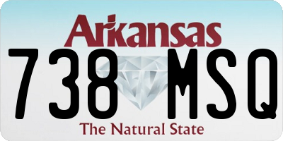 AR license plate 738MSQ