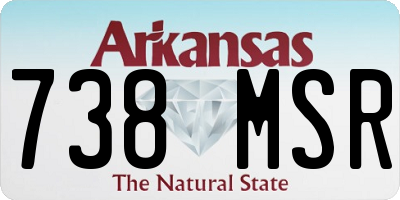 AR license plate 738MSR