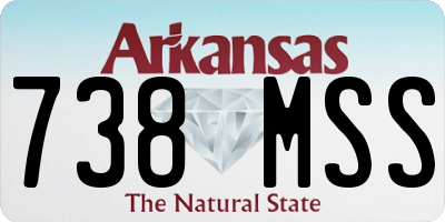 AR license plate 738MSS