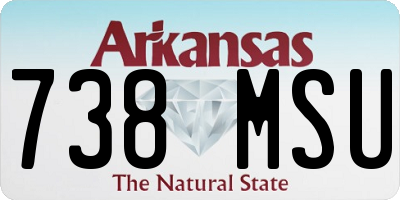 AR license plate 738MSU