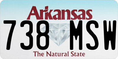 AR license plate 738MSW