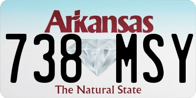 AR license plate 738MSY