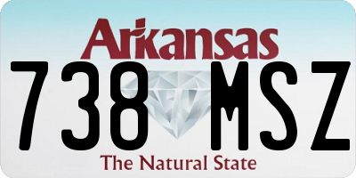 AR license plate 738MSZ