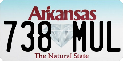 AR license plate 738MUL