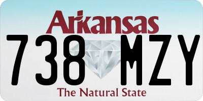 AR license plate 738MZY
