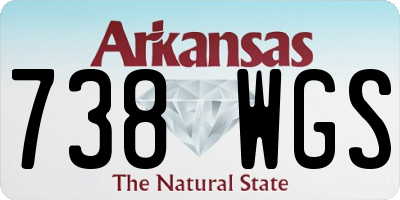 AR license plate 738WGS