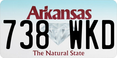 AR license plate 738WKD