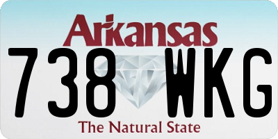 AR license plate 738WKG