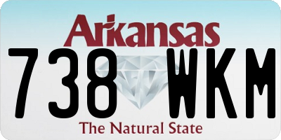 AR license plate 738WKM