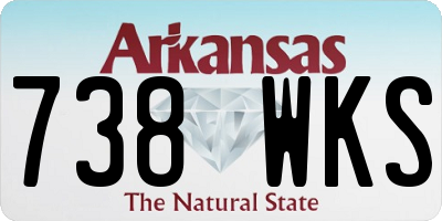 AR license plate 738WKS