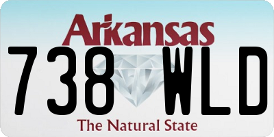 AR license plate 738WLD
