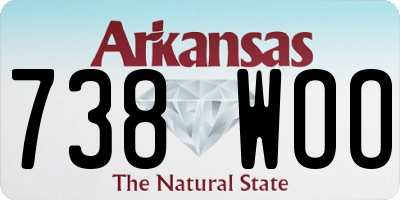 AR license plate 738WOO