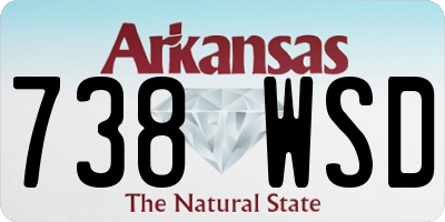 AR license plate 738WSD