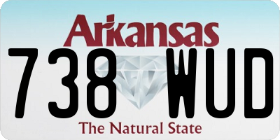 AR license plate 738WUD