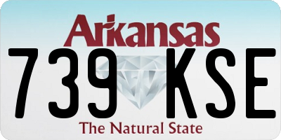 AR license plate 739KSE
