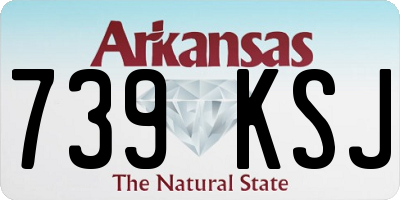 AR license plate 739KSJ
