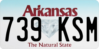AR license plate 739KSM