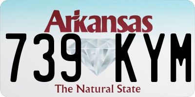 AR license plate 739KYM