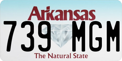 AR license plate 739MGM