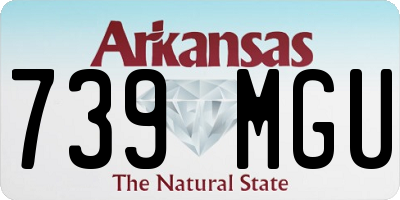 AR license plate 739MGU