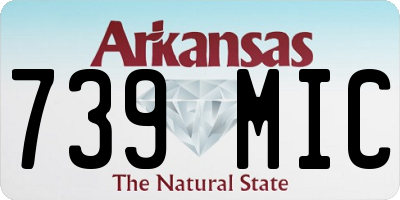 AR license plate 739MIC