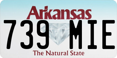 AR license plate 739MIE