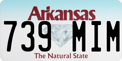 AR license plate 739MIM