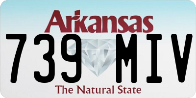 AR license plate 739MIV