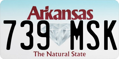 AR license plate 739MSK