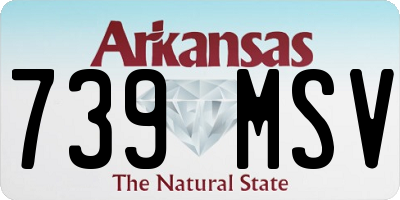 AR license plate 739MSV