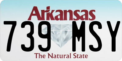 AR license plate 739MSY