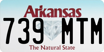 AR license plate 739MTM