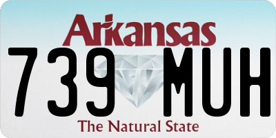 AR license plate 739MUH