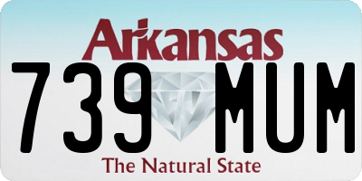 AR license plate 739MUM