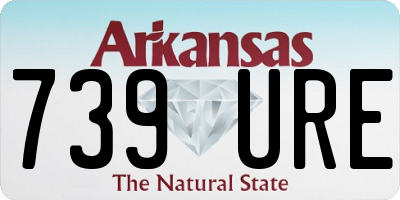 AR license plate 739URE