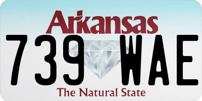 AR license plate 739WAE