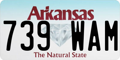 AR license plate 739WAM