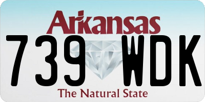 AR license plate 739WDK