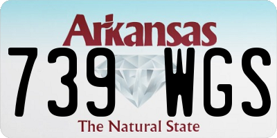 AR license plate 739WGS