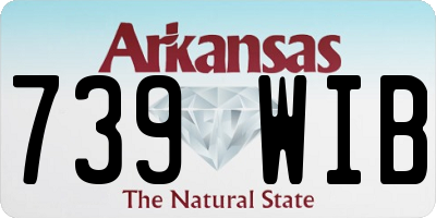 AR license plate 739WIB