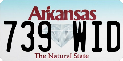 AR license plate 739WID