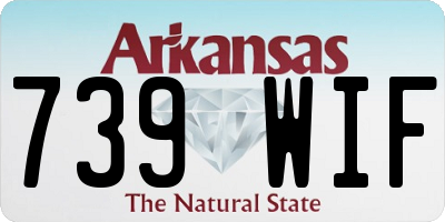 AR license plate 739WIF