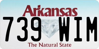 AR license plate 739WIM