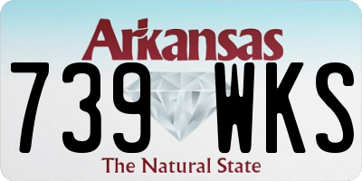 AR license plate 739WKS