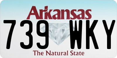 AR license plate 739WKY