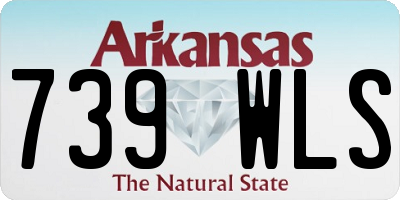AR license plate 739WLS