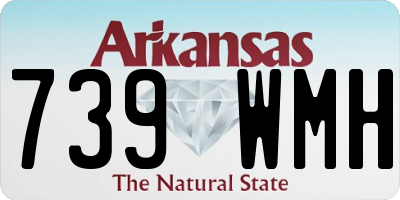 AR license plate 739WMH