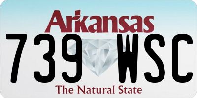 AR license plate 739WSC